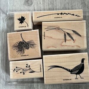 NWOT Stampin' Up! Stamps “Autumn Days”